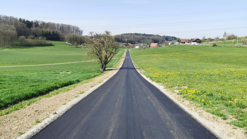 Verkehrssicherheit im Fokus