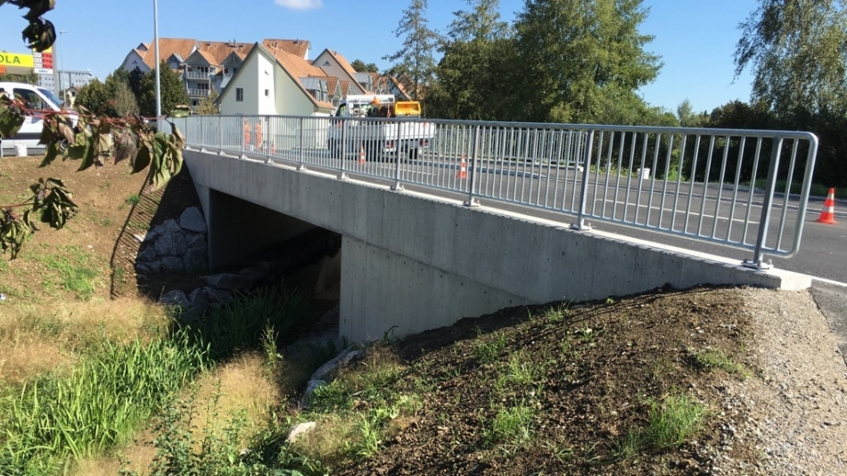 Neubach Aachbrücke Erlen