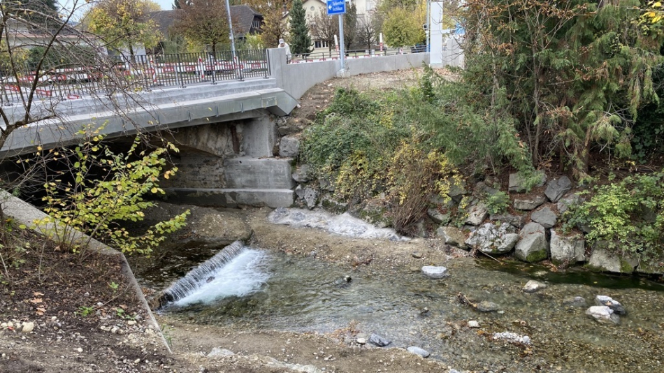 Instandsetzung Murgbrücke, Münchwilen
